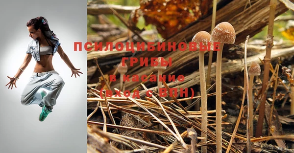 амфетамин Арсеньев