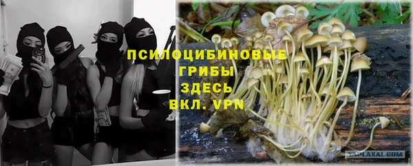 гидропоника Армянск