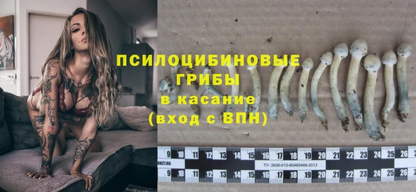 гидропоника Армянск
